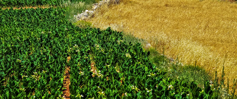 Silo Metálico